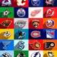 HOCKEY FAV TEAMS-3D PRINTED CUSTOM 12 OUNCE CAN HOLDERS