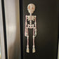 MAGNETIC SKELETON- 3D PRINTED- VARIETY OF COLORS